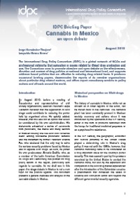 cannabis-mexico