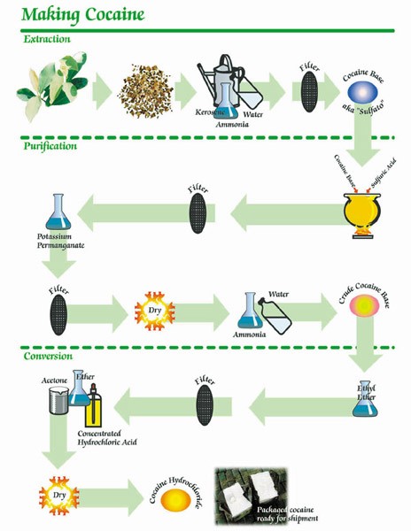 makingcocaine
